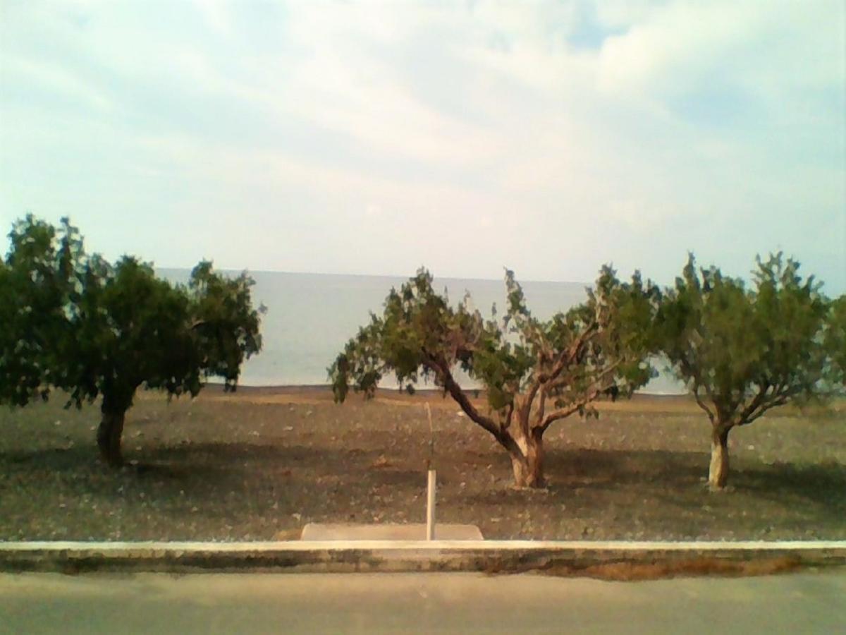 אפרטהוטל Tsoútsouros Apollon מראה חיצוני תמונה