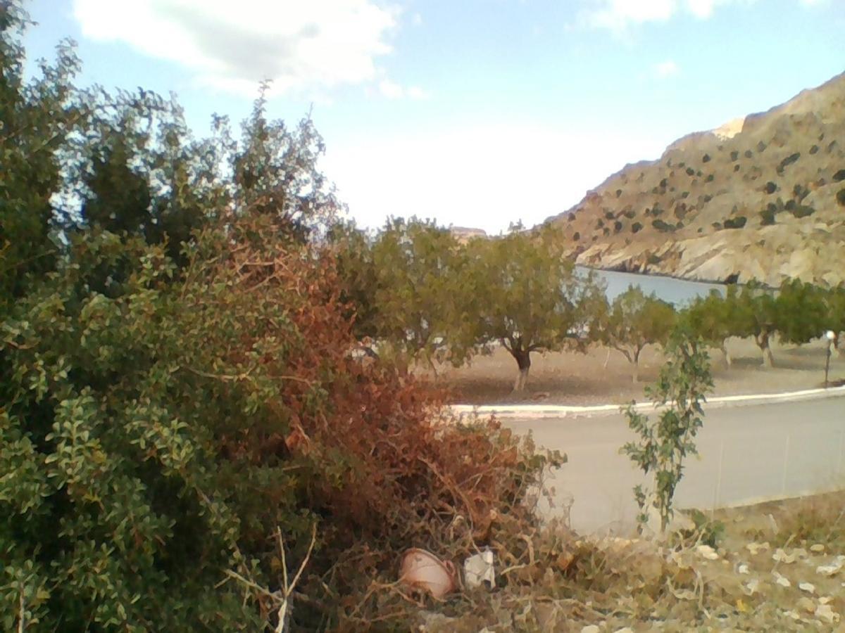 אפרטהוטל Tsoútsouros Apollon מראה חיצוני תמונה